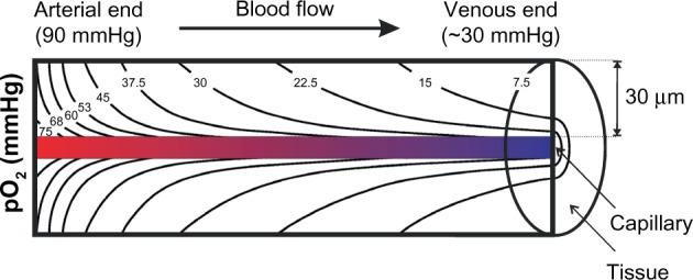 https://cdn.ncbi.nlm.nih.gov/pmc/blobs/2f6b/5045069/ef72128d8db8/hp-3-035Fig4.jpg