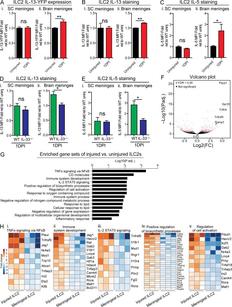 https://cdn.ncbi.nlm.nih.gov/pmc/blobs/2f6b/5294864/df5a731b6cfa/JEM_20161982_Fig3.jpg