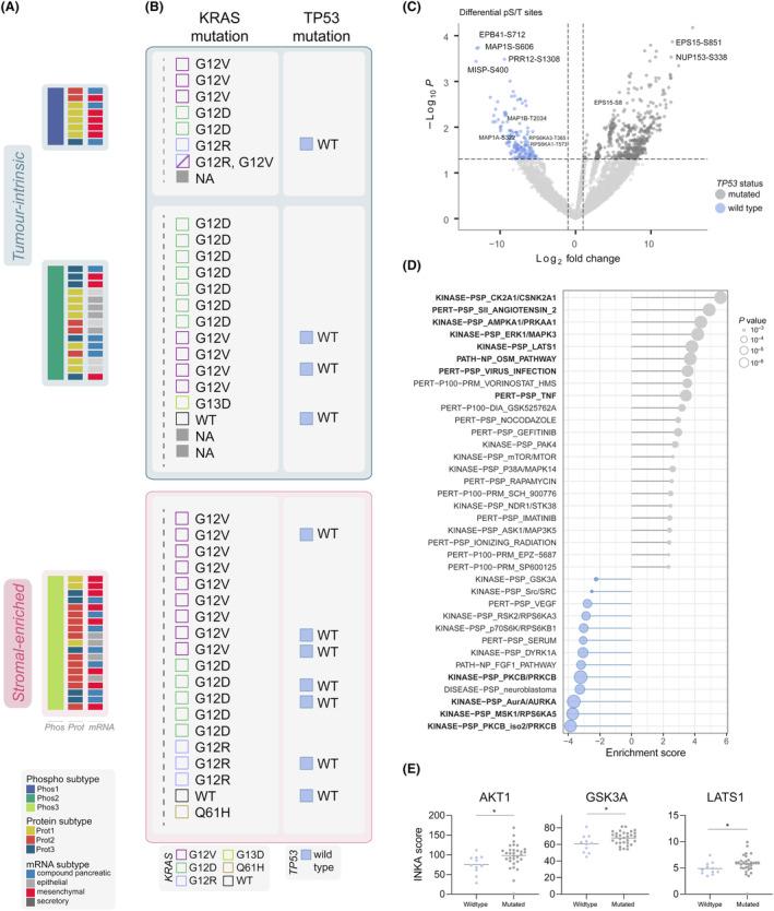 https://cdn.ncbi.nlm.nih.gov/pmc/blobs/2f6f/11306541/ac1fd94462bb/MOL2-18-2020-g006.jpg