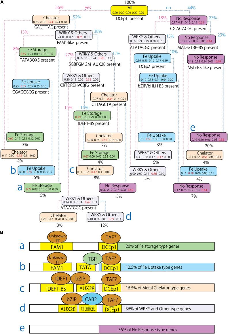 https://cdn.ncbi.nlm.nih.gov/pmc/blobs/2f72/8207140/f67615cef65d/fpls-12-660303-g007.jpg