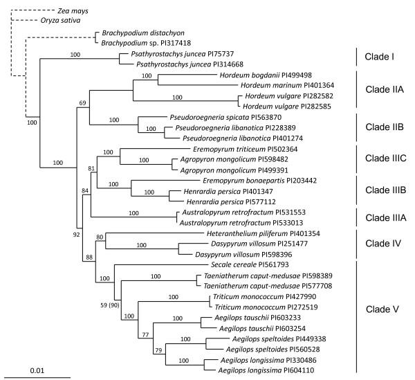https://cdn.ncbi.nlm.nih.gov/pmc/blobs/2f73/3142523/2d7b989f69fe/1471-2148-11-181-1.jpg