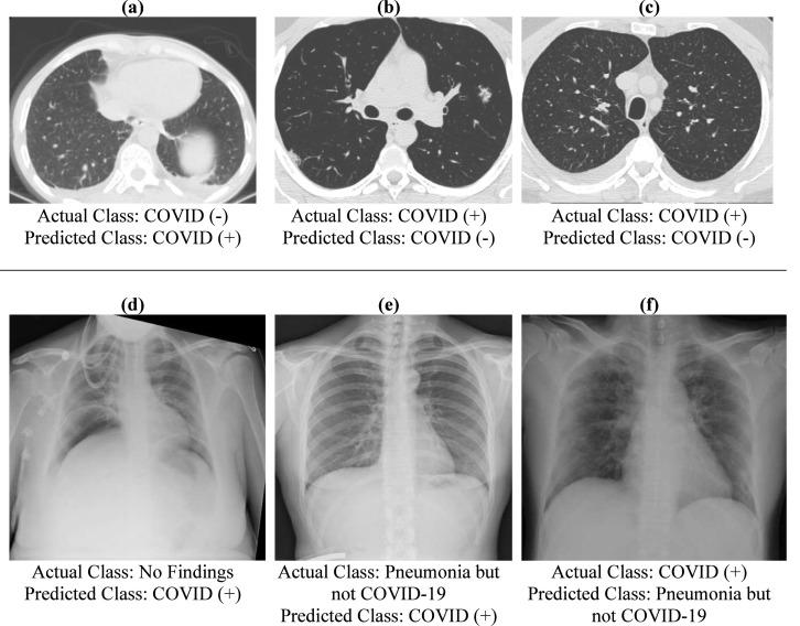 https://cdn.ncbi.nlm.nih.gov/pmc/blobs/2f73/7968176/2f32e114cd25/gr12_lrg.jpg