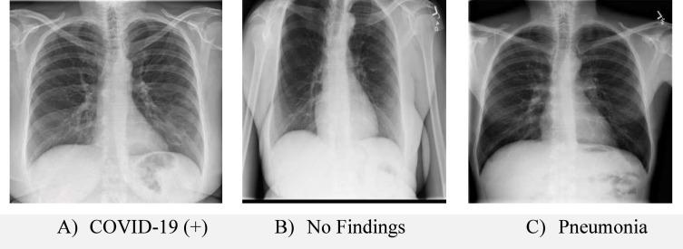 https://cdn.ncbi.nlm.nih.gov/pmc/blobs/2f73/7968176/41dd5ac736b2/gr8_lrg.jpg