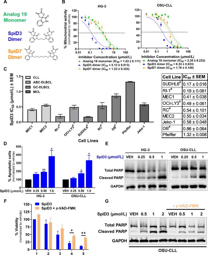 https://cdn.ncbi.nlm.nih.gov/pmc/blobs/2f75/11110724/008e83d12772/crc-24-0071_fig1.jpg