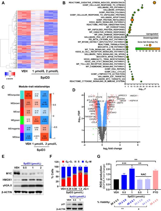 https://cdn.ncbi.nlm.nih.gov/pmc/blobs/2f75/11110724/c9db34b85250/crc-24-0071_fig2.jpg