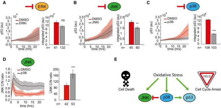 https://cdn.ncbi.nlm.nih.gov/pmc/blobs/2f75/9724178/39d821d51089/MSB-18-e11401-g001.jpg