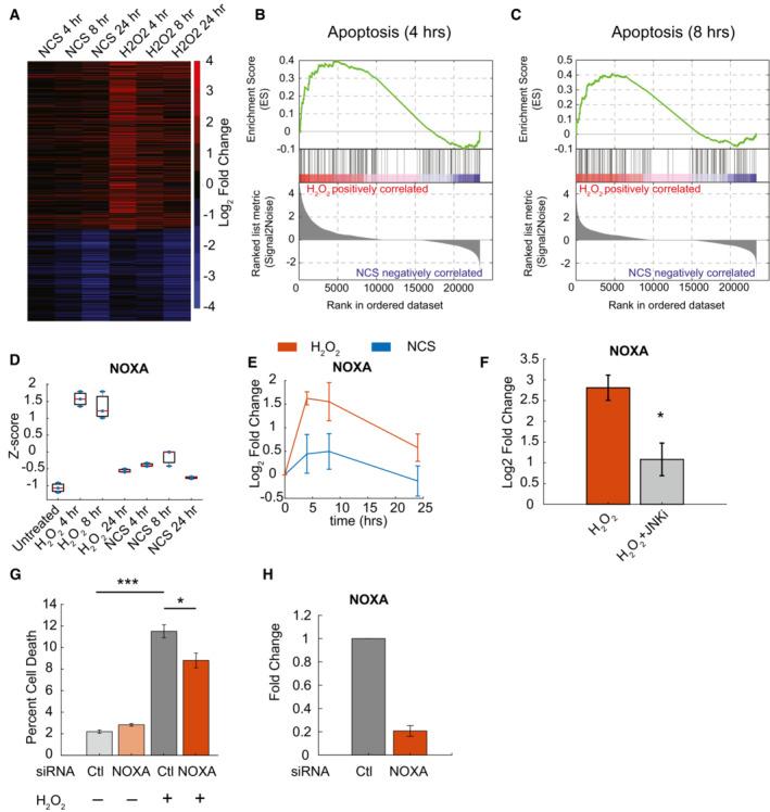 https://cdn.ncbi.nlm.nih.gov/pmc/blobs/2f75/9724178/a3ba70105bef/MSB-18-e11401-g007.jpg