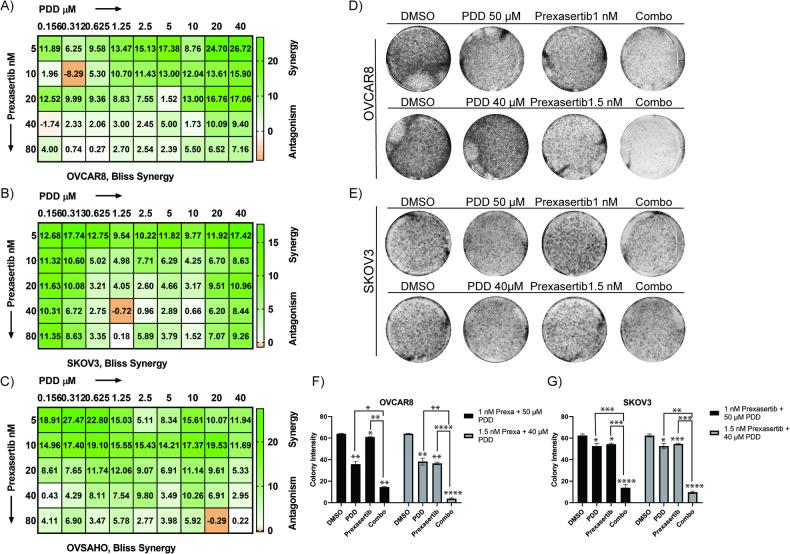 https://cdn.ncbi.nlm.nih.gov/pmc/blobs/2f76/11166985/5dd7c4352c1a/41420_2024_2040_Fig6_HTML.jpg
