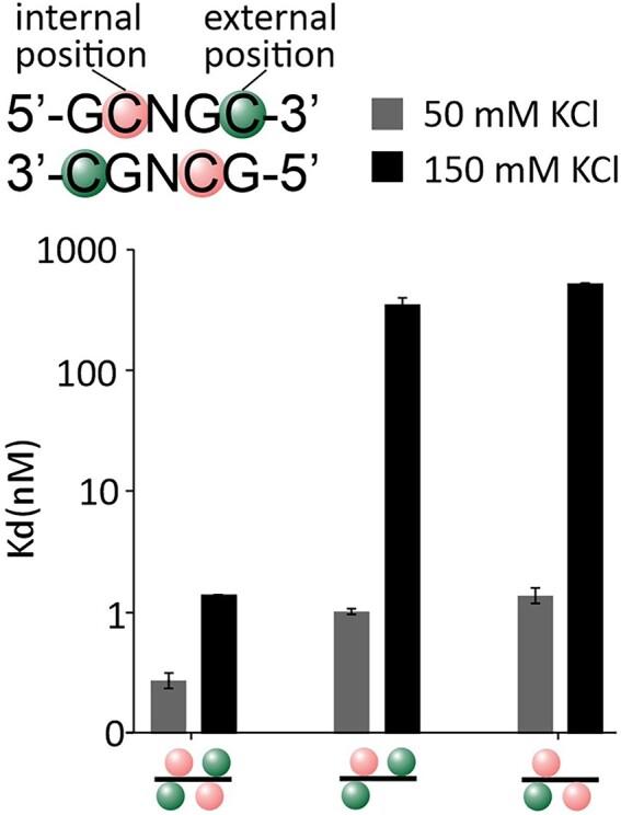 https://cdn.ncbi.nlm.nih.gov/pmc/blobs/2f76/11347163/af09f09ac669/gkae634fig3.jpg