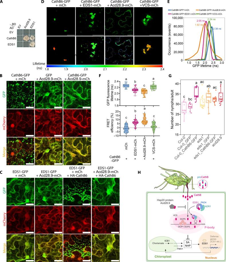 https://cdn.ncbi.nlm.nih.gov/pmc/blobs/2f77/12266115/549e2d3c1b44/sciadv.adv1447-f5.jpg