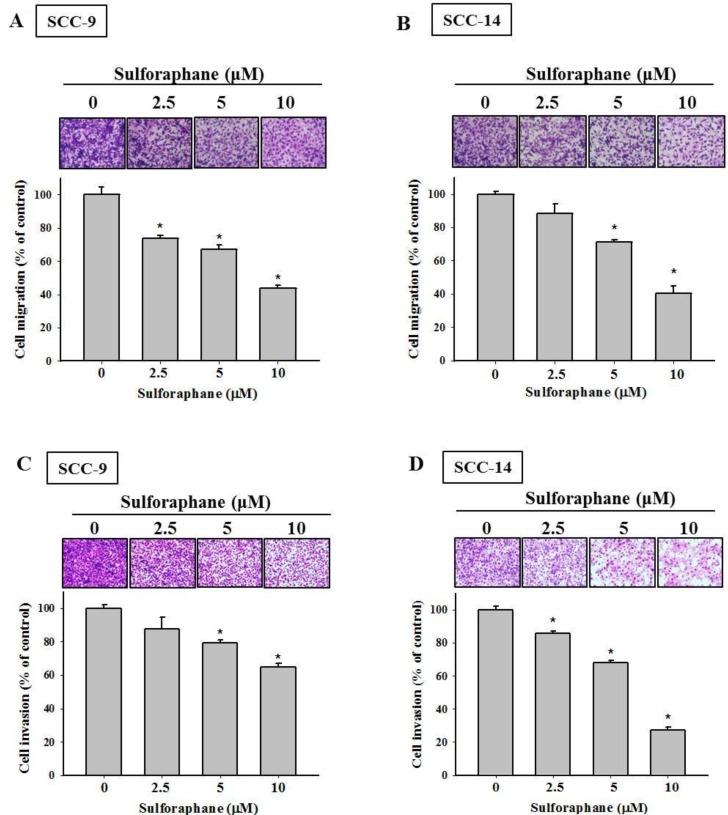 https://cdn.ncbi.nlm.nih.gov/pmc/blobs/2f77/5915138/8957a0d370d6/oncotarget-09-17564-g002.jpg