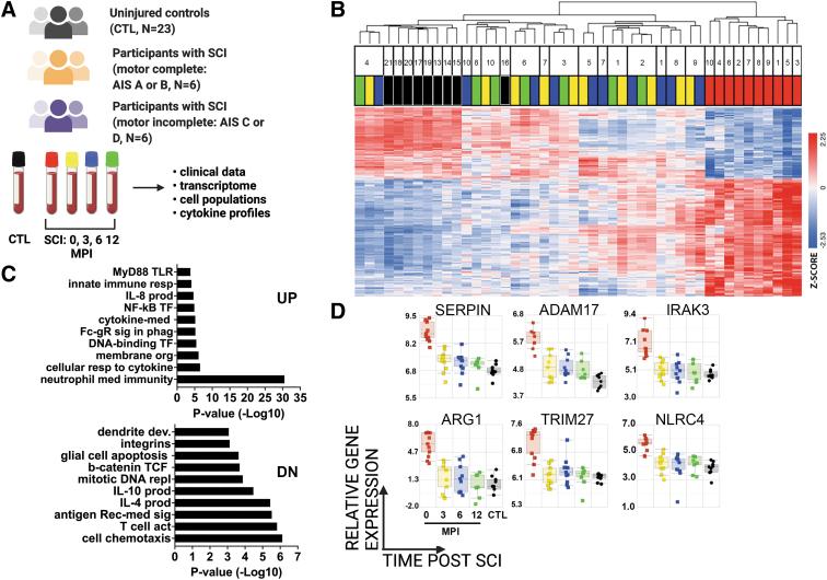 https://cdn.ncbi.nlm.nih.gov/pmc/blobs/2f79/10722895/2aa98c46b057/neu.2022.0500_figure1.jpg