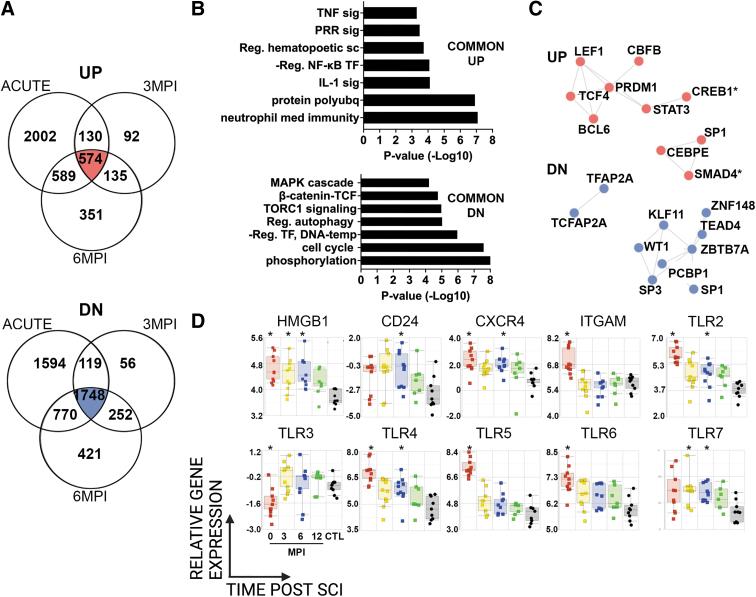 https://cdn.ncbi.nlm.nih.gov/pmc/blobs/2f79/10722895/74447c17702b/neu.2022.0500_figure2.jpg