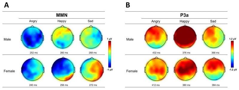 https://cdn.ncbi.nlm.nih.gov/pmc/blobs/2f7b/11674735/5b56f43aa69c/brainsci-14-01216-g003.jpg