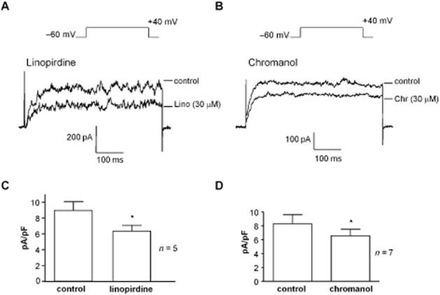 https://cdn.ncbi.nlm.nih.gov/pmc/blobs/2f7b/3831709/acb7bd1ed08a/bph0169-1290-f5.jpg