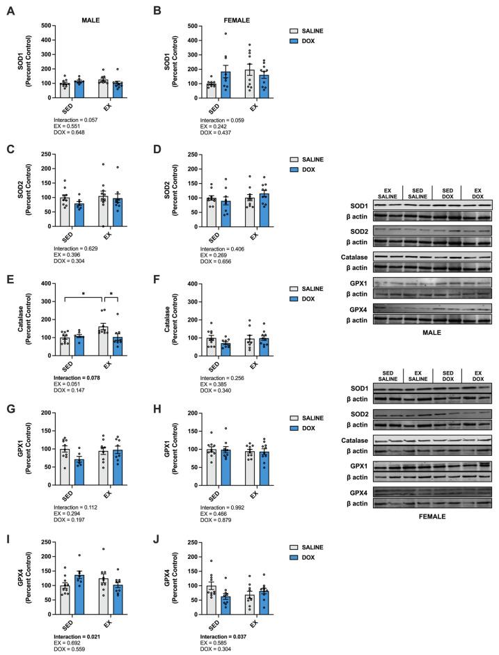 https://cdn.ncbi.nlm.nih.gov/pmc/blobs/2f7c/10298992/a5ae971de531/ijms-24-10222-g006.jpg