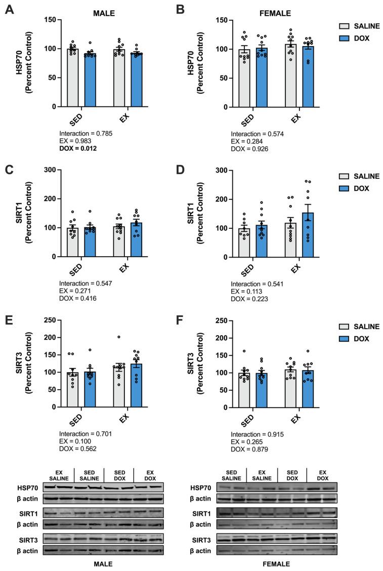 https://cdn.ncbi.nlm.nih.gov/pmc/blobs/2f7c/10298992/eabcf53158b1/ijms-24-10222-g004.jpg