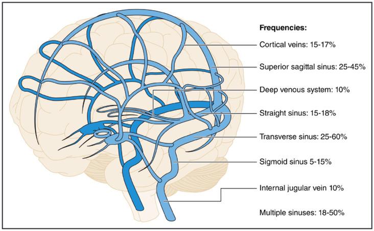 https://cdn.ncbi.nlm.nih.gov/pmc/blobs/2f7c/11355492/0a85f61f27a3/jcm-13-04730-g001.jpg