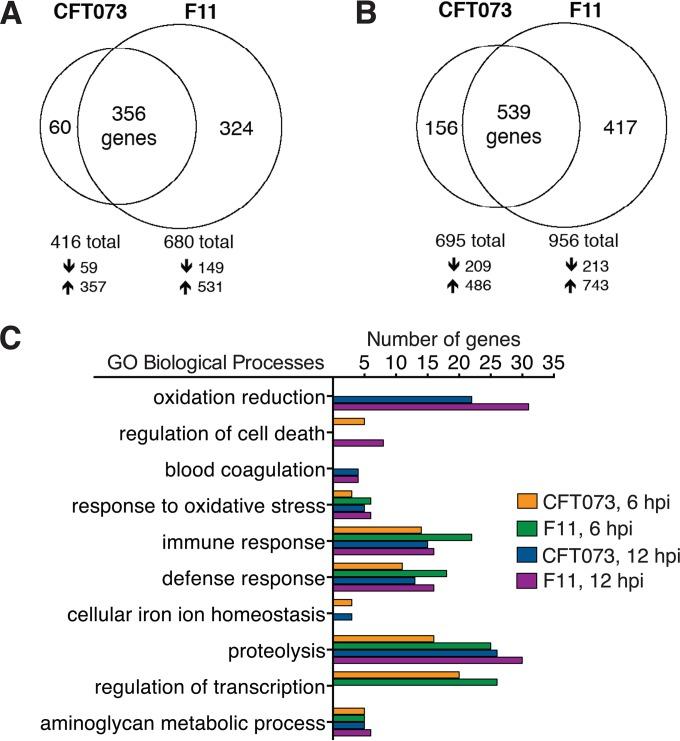 https://cdn.ncbi.nlm.nih.gov/pmc/blobs/2f80/4894679/7ef4431e647c/sph0021620690004.jpg