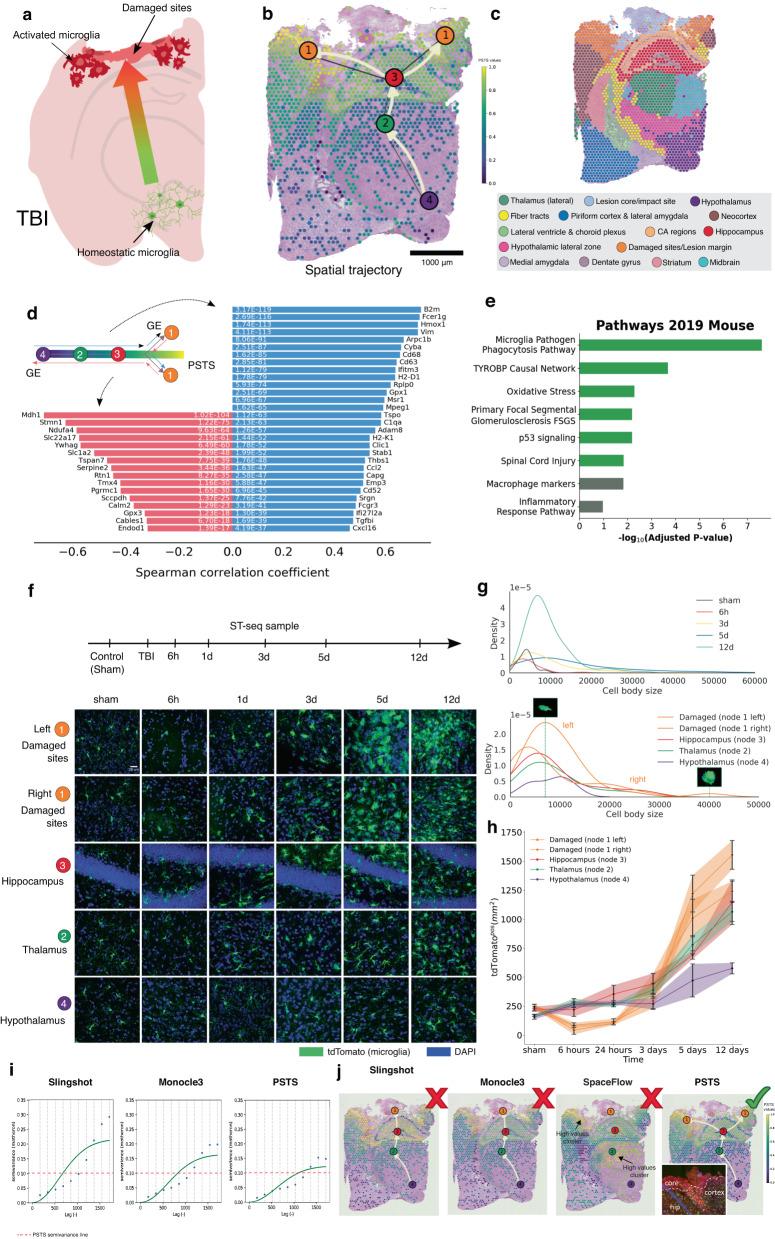 https://cdn.ncbi.nlm.nih.gov/pmc/blobs/2f86/10676408/c9f91d7bc250/41467_2023_43120_Fig2_HTML.jpg
