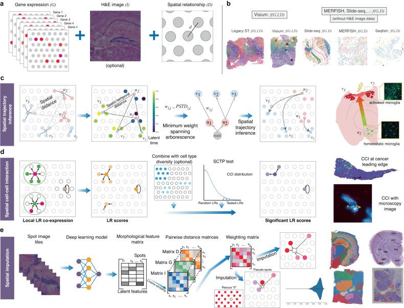 https://cdn.ncbi.nlm.nih.gov/pmc/blobs/2f86/10676408/f560bbfaf3ec/41467_2023_43120_Fig1_HTML.jpg