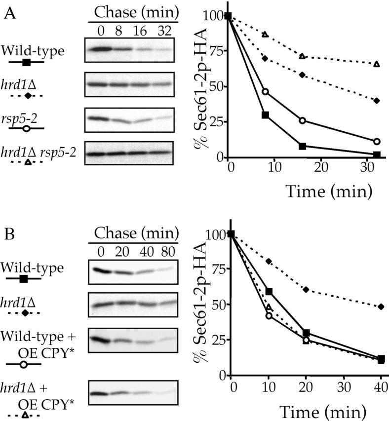https://cdn.ncbi.nlm.nih.gov/pmc/blobs/2f87/2173032/9c4b6336666f/200201053f7.jpg