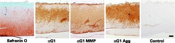 https://cdn.ncbi.nlm.nih.gov/pmc/blobs/2f87/4758135/d6c5494808e1/12891_2016_944_Fig8_HTML.jpg