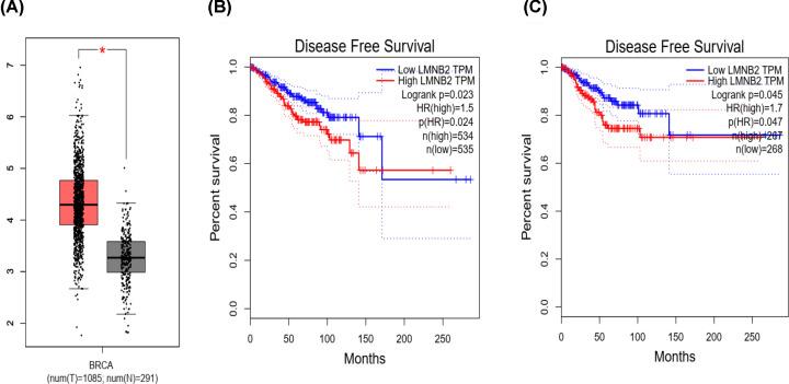 https://cdn.ncbi.nlm.nih.gov/pmc/blobs/2f8a/7846963/d739abc941a0/bsr-41-bsr20203874-g1.jpg