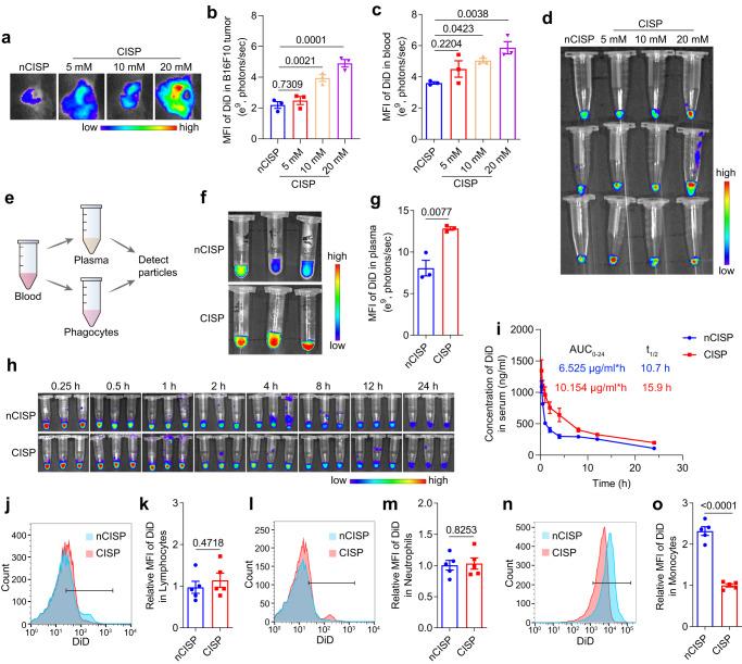 https://cdn.ncbi.nlm.nih.gov/pmc/blobs/2f8e/10444796/7f95389726bd/41467_2023_40814_Fig4_HTML.jpg