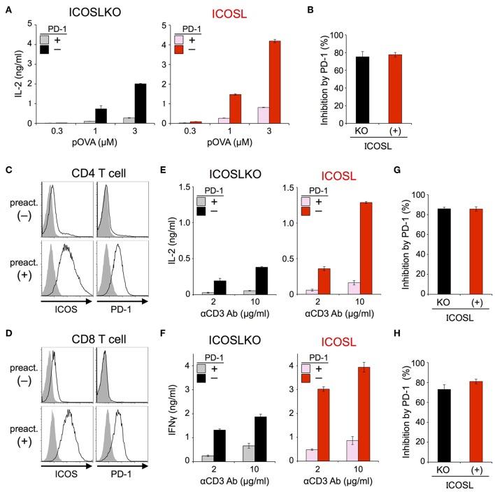 https://cdn.ncbi.nlm.nih.gov/pmc/blobs/2f8e/6455061/06c00d4b0820/fimmu-10-00630-g0006.jpg
