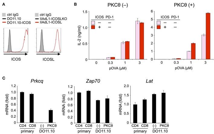 https://cdn.ncbi.nlm.nih.gov/pmc/blobs/2f8e/6455061/ae55cf7435fd/fimmu-10-00630-g0005.jpg