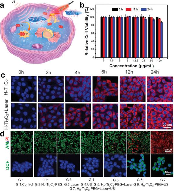 https://cdn.ncbi.nlm.nih.gov/pmc/blobs/2f8f/10477905/a124976252ee/ADVS-10-2301764-g015.jpg