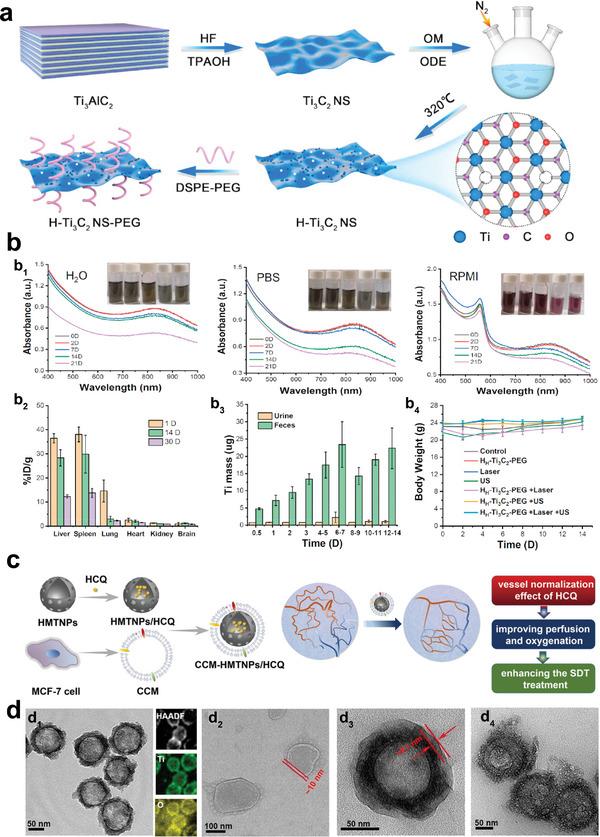 https://cdn.ncbi.nlm.nih.gov/pmc/blobs/2f8f/10477905/ab4e1f75dc52/ADVS-10-2301764-g012.jpg