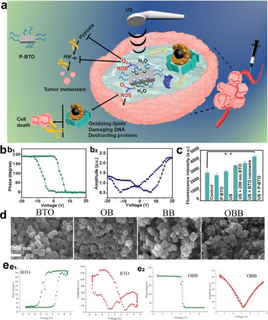 https://cdn.ncbi.nlm.nih.gov/pmc/blobs/2f8f/10477905/b3ffe01bc7b5/ADVS-10-2301764-g004.jpg