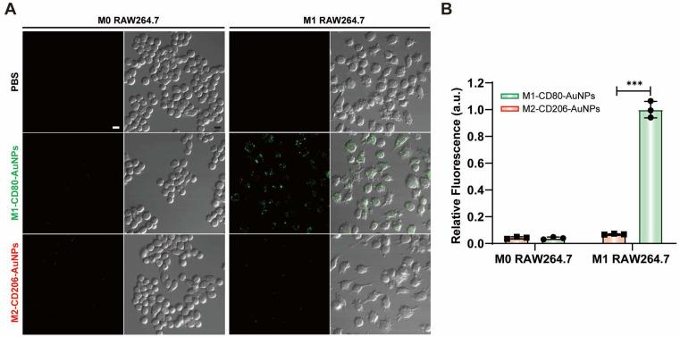 https://cdn.ncbi.nlm.nih.gov/pmc/blobs/2f90/11506351/f333b767aac2/biosensors-14-00475-g009.jpg