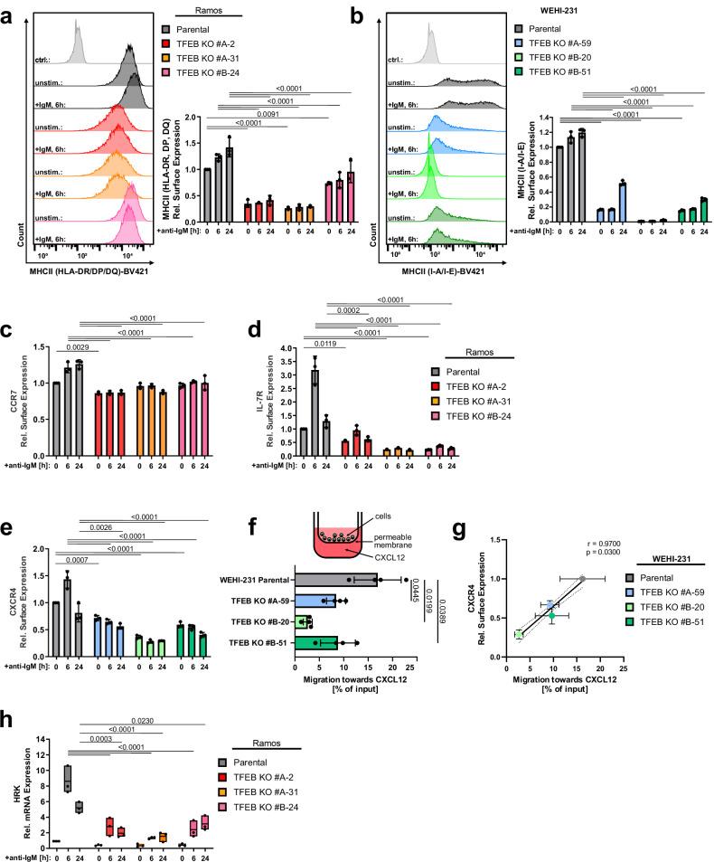 https://cdn.ncbi.nlm.nih.gov/pmc/blobs/2f92/11322606/0a8c7e2e54ea/41467_2024_51166_Fig6_HTML.jpg