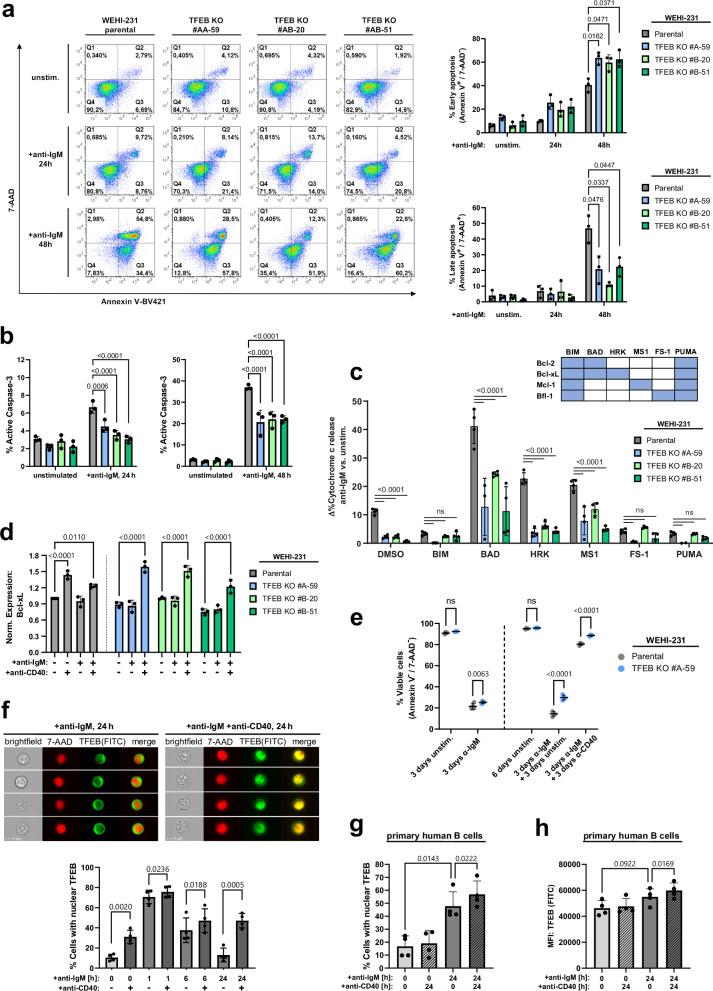 https://cdn.ncbi.nlm.nih.gov/pmc/blobs/2f92/11322606/0fac3dd65ac4/41467_2024_51166_Fig7_HTML.jpg