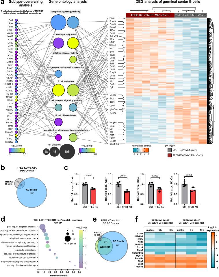 https://cdn.ncbi.nlm.nih.gov/pmc/blobs/2f92/11322606/2190f8462a8a/41467_2024_51166_Fig5_HTML.jpg