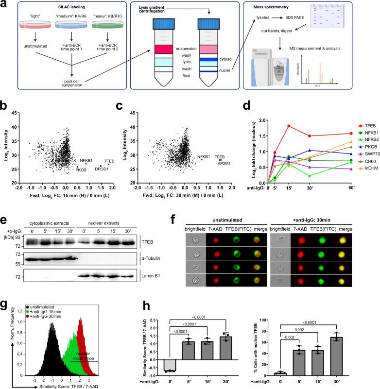 https://cdn.ncbi.nlm.nih.gov/pmc/blobs/2f92/11322606/e492c9ba2524/41467_2024_51166_Fig1_HTML.jpg