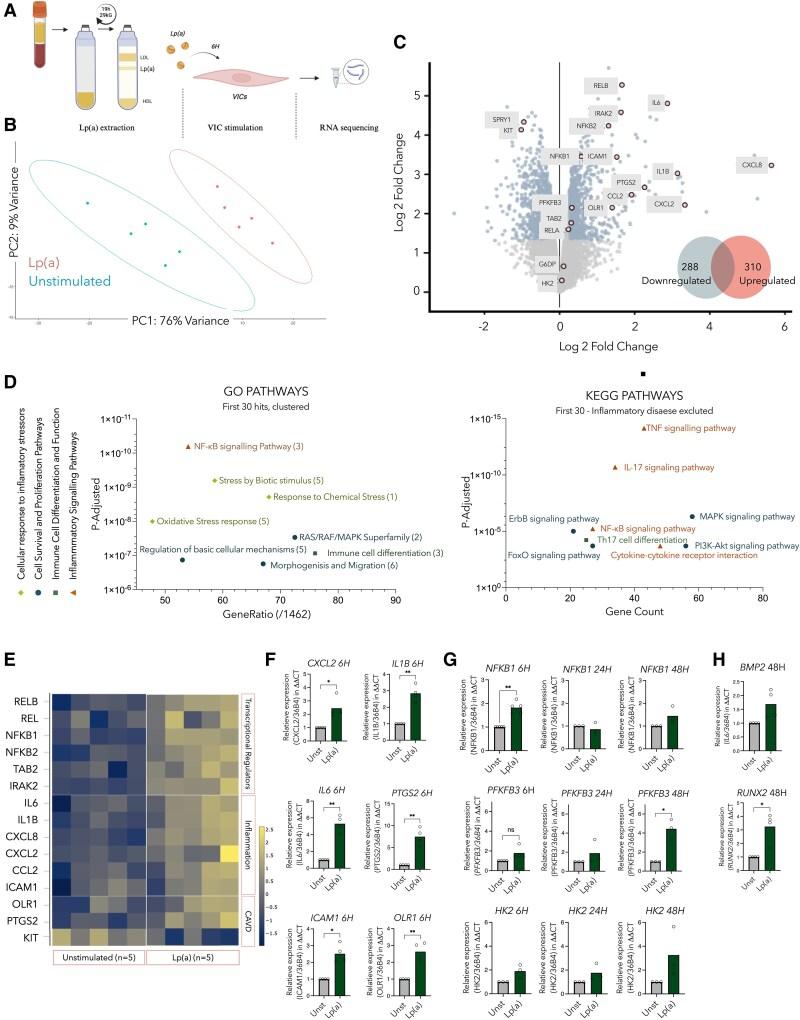 https://cdn.ncbi.nlm.nih.gov/pmc/blobs/2f92/12402982/5adf44baac90/oeaf068f2.jpg