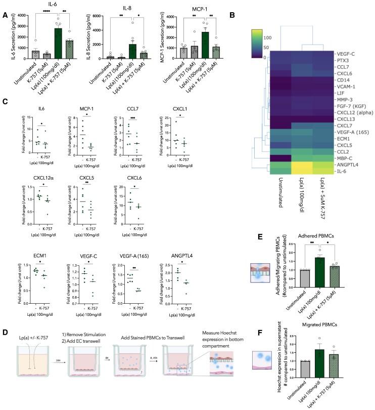 https://cdn.ncbi.nlm.nih.gov/pmc/blobs/2f92/12402982/b4e66f9e7f5c/oeaf068f4.jpg