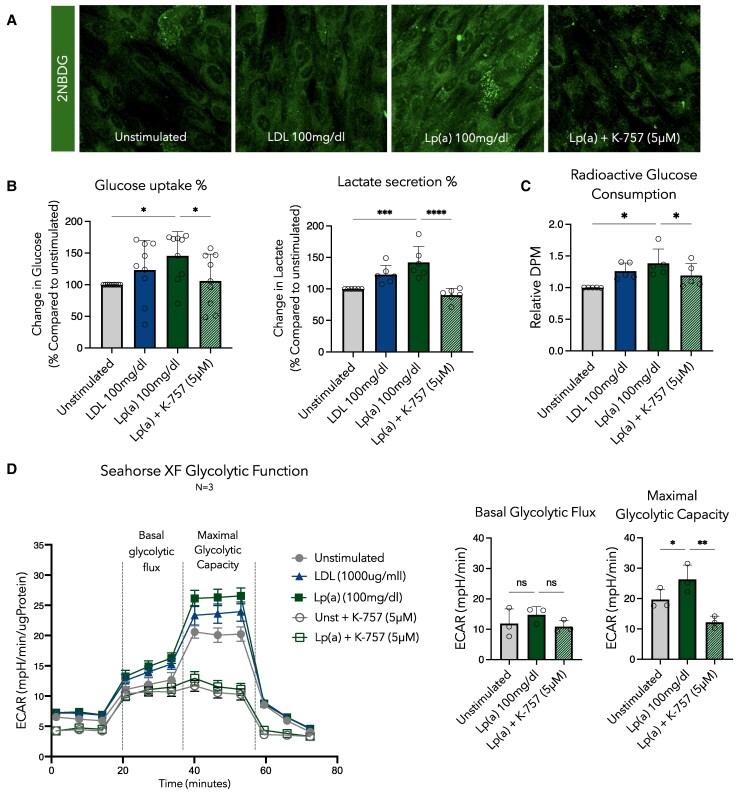 https://cdn.ncbi.nlm.nih.gov/pmc/blobs/2f92/12402982/ca70afa41ccc/oeaf068f3.jpg