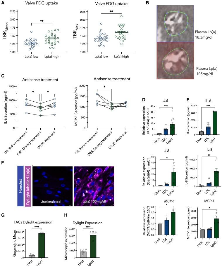 https://cdn.ncbi.nlm.nih.gov/pmc/blobs/2f92/12402982/f9663245ca61/oeaf068f1.jpg