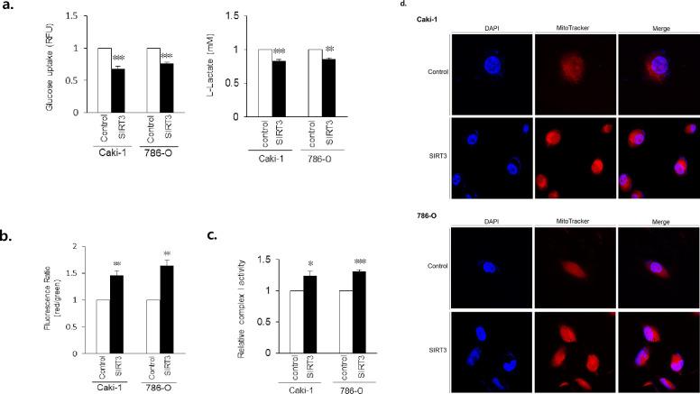 https://cdn.ncbi.nlm.nih.gov/pmc/blobs/2f95/9173632/19379e73cebe/pone.0269432.g002.jpg