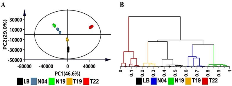 https://cdn.ncbi.nlm.nih.gov/pmc/blobs/2f95/9414699/2b6ebd908ffb/metabolites-12-00763-g001.jpg