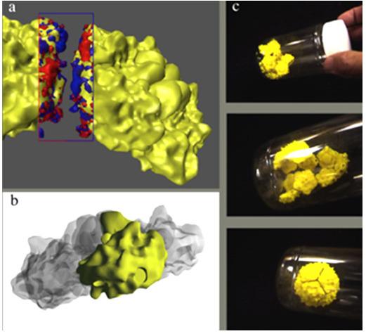 https://cdn.ncbi.nlm.nih.gov/pmc/blobs/2f98/9139400/a2e77487d585/jbc-40-e5-g003.jpg