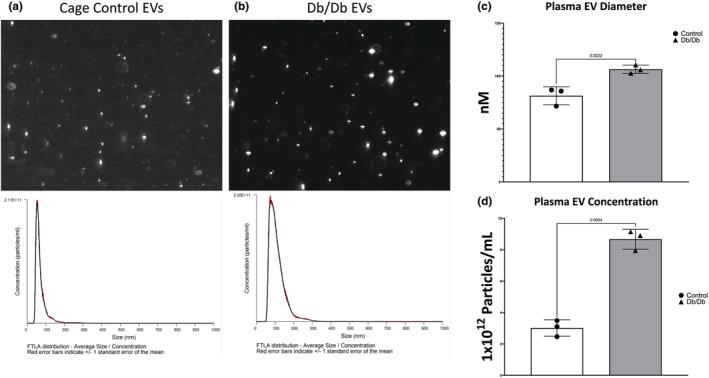 https://cdn.ncbi.nlm.nih.gov/pmc/blobs/2f99/10761623/6cdc2b7679ba/PHY2-12-e15898-g003.jpg