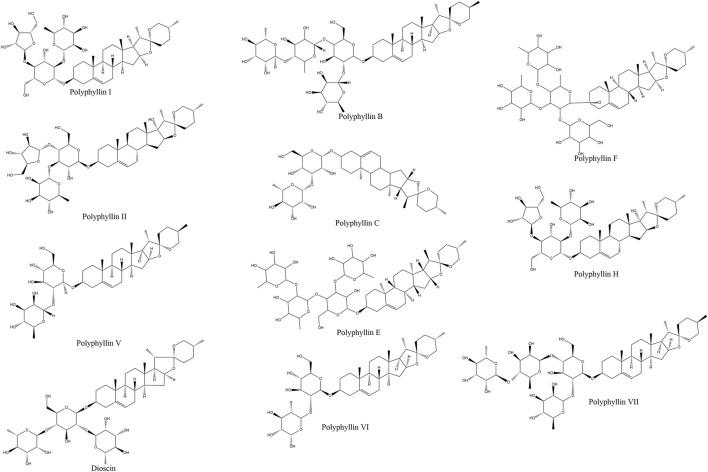 https://cdn.ncbi.nlm.nih.gov/pmc/blobs/2f9b/12263692/436ec1d34530/fphar-16-1611911-g001.jpg