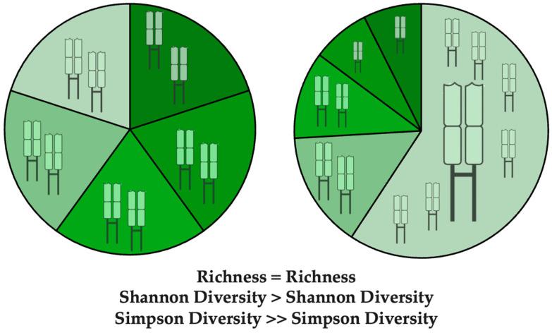 https://cdn.ncbi.nlm.nih.gov/pmc/blobs/2f9b/12346228/4d24e8531a52/cells-14-01223-g002.jpg