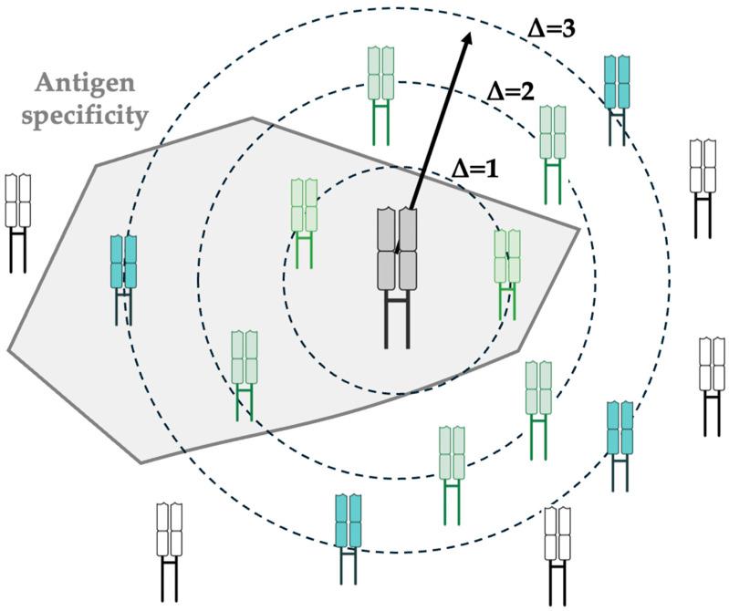 https://cdn.ncbi.nlm.nih.gov/pmc/blobs/2f9b/12346228/6bd80b2054eb/cells-14-01223-g003.jpg